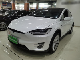特斯拉 Model X 2020款 长续航升级版