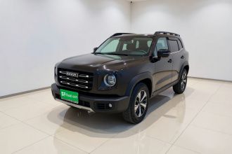 哈弗大狗 2021款 1.5T DCT两驱拉布拉多版