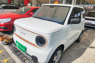 吉利银河 2024款 熊猫mini 200km 耐力熊