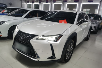 雷克萨斯UX新能源 2020款 300e 纯·享版