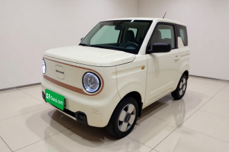 吉利银河 2023款 熊猫mini 200km 耐力熊