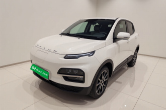 大运 悦虎 2021款 32.85kWh 两驱精灵版