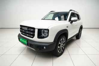 哈弗大狗 2021款 1.5T DCT两驱边牧-旺财版