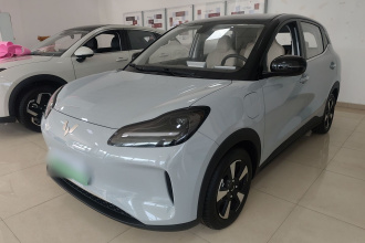 五菱汽车 五菱缤果PLUS 2024款 401km 五座版