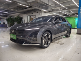 五菱汽车 五菱星光 2023款 150 进阶版