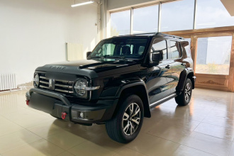 坦克300 2021款 城市版 2.0T 很有型