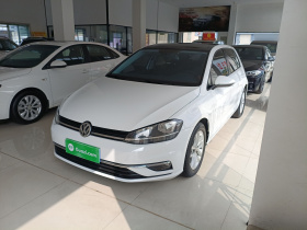 大众 高尔夫 2019款 1.6L 自动舒适型 国V