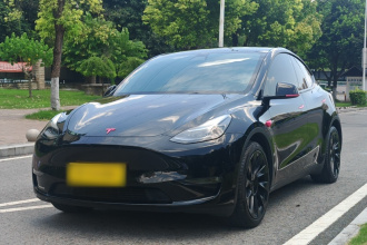 特斯拉 Model Y 2021款 标准续航后驱版