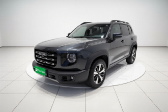 哈弗大狗 2022款 1.5T DCT两驱拉布拉多版