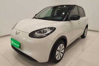 五菱汽车 五菱缤果 2024款 203km 轻享款