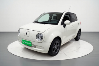 欧拉黑猫 2021款 301km 基础型