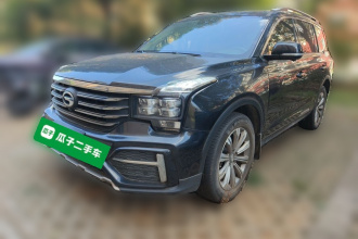 广汽传祺 传祺GS8 2020款 390T 两驱豪华智联版（七座）