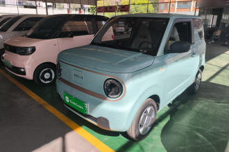 吉利银河 2023款 熊猫mini 200km 耐力熊