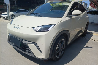 比亚迪 海鸥 2023款 自由版