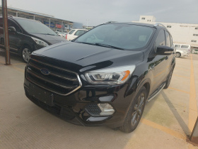 福特 翼虎 2019款 EcoBoost 180 两驱铂翼型 国VI