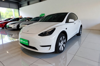 特斯拉 Model Y 2021款 长续航全轮驱动版