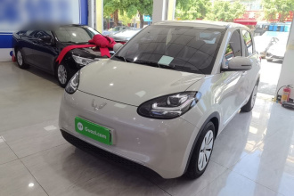五菱汽车 五菱缤果 2023款 333km 快享款