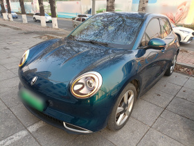 欧拉好猫 2023款 401km标准续航 豪华型 磷酸铁锂