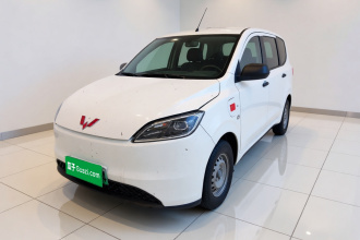 五菱汽车 五菱宏光新能源 2024款 纯电版 300KM 标准型