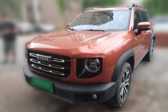 哈弗大狗 2021款 1.5T DCT两驱边牧-旺财版