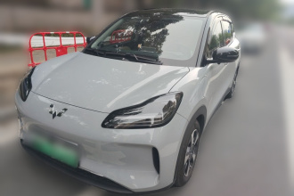 五菱汽车 五菱缤果PLUS 2024款 510km 旗舰版 四座版