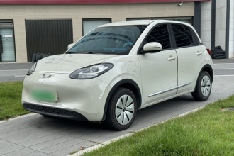 五菱汽车 五菱缤果 2024款 203km 轻享款
