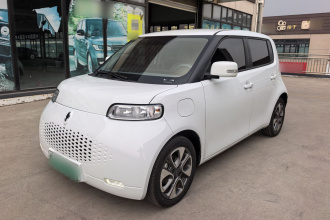 欧拉白猫 2020款 305km 豪华型