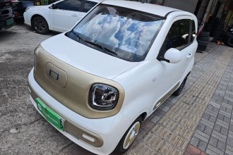 奔腾小马 2025款 222km 闪电马