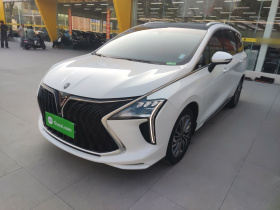 东风风行 风行游艇 2024款 1.5T DCT 观海版