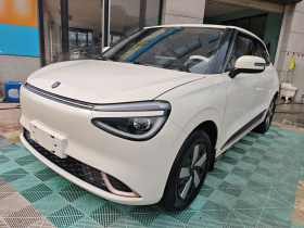 东风纳米 纳米01 2024款 焕新版 330 Air