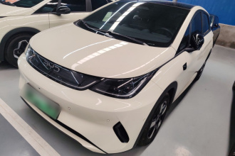 比亚迪 海豚 2025款 智驾版 410km 时尚版