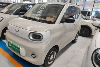 五菱汽车 宏光MINIEV 2024款 第三代 215km 青春版