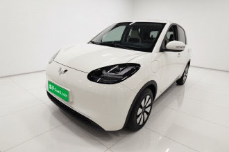 五菱汽车 五菱缤果 2024款 333km 悦享款