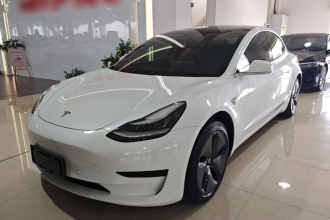特斯拉 Model 3 2019款 标准续航后驱升级版