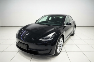 特斯拉 Model 3 2019款 标准续航后驱升级版