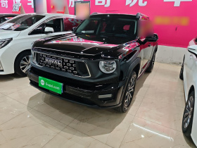 哈弗大狗 PLUS 2023款 2.0T 两驱潮野版Plus