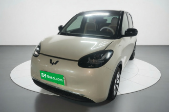 五菱汽车 五菱缤果 2024款 333km 悦享款