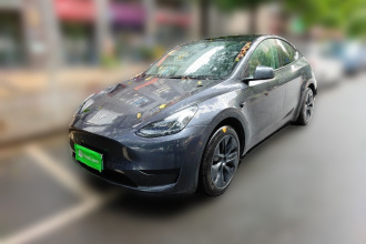 特斯拉 Model Y 2024款 后轮驱动版