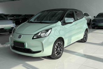 长安欧尚 奔奔E-Star 2022款 国民版 多彩限量款（快充版）磷酸铁锂