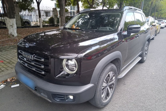 哈弗大狗 2021款 1.5T DCT两驱拉布拉多版