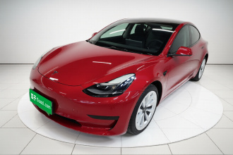 特斯拉 Model 3 2021款 标准续航后驱升级版 3D6