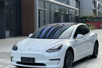 特斯拉 Model 3(进口) 2019款 长续航全轮驱动版