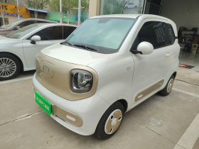 奔腾小马 2024款 170km 活力马