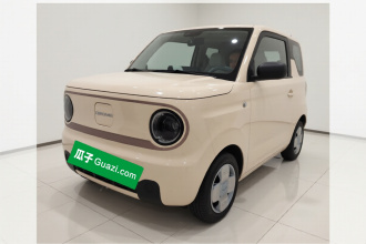 吉利银河 2023款 熊猫mini 200km 耐力熊
