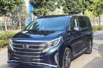 广汽传祺 传祺M8 2021款 领秀系列 390T 尊贵版