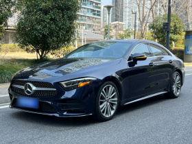 奔驰CLS 2020款 CLS 300 动感型