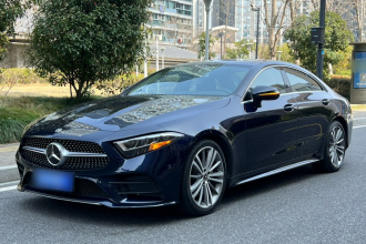 奔驰CLS 2020款 CLS 300 动感型
