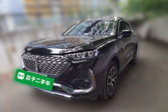 魏牌 拿铁DHT-PHEV 2022款 1.5T 两驱超大杯