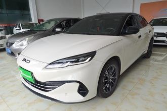 比亚迪 海豹06新能源 2024款 DM-i 80KM尊贵型