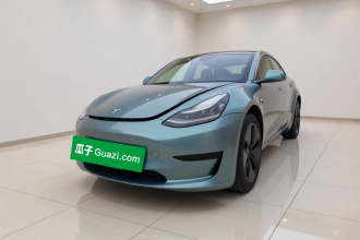 特斯拉 Model 3 2019款 标准续航后驱升级版